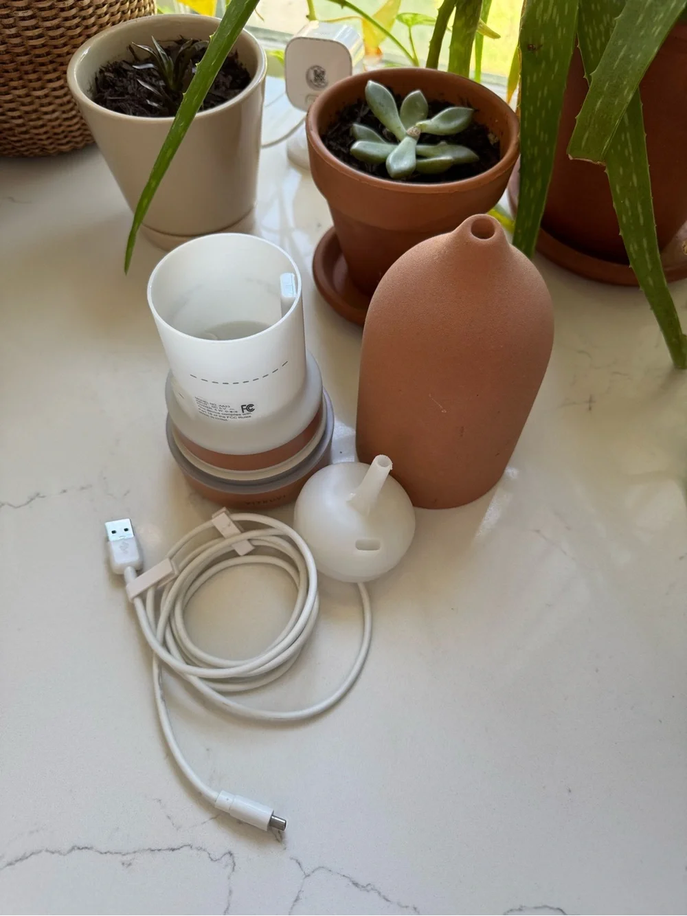 Vitruvi essential oil